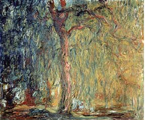 Monet - Willow